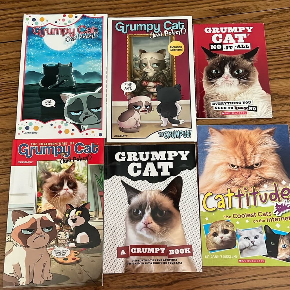 Grumpy Cat books 📚